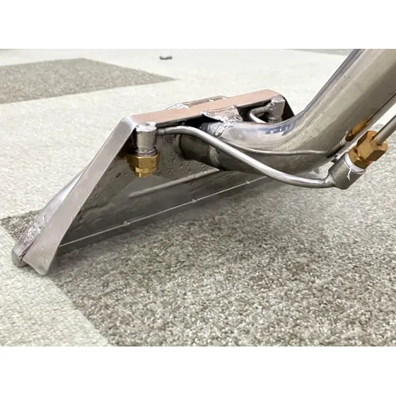 Professional carpet extraction cleaning