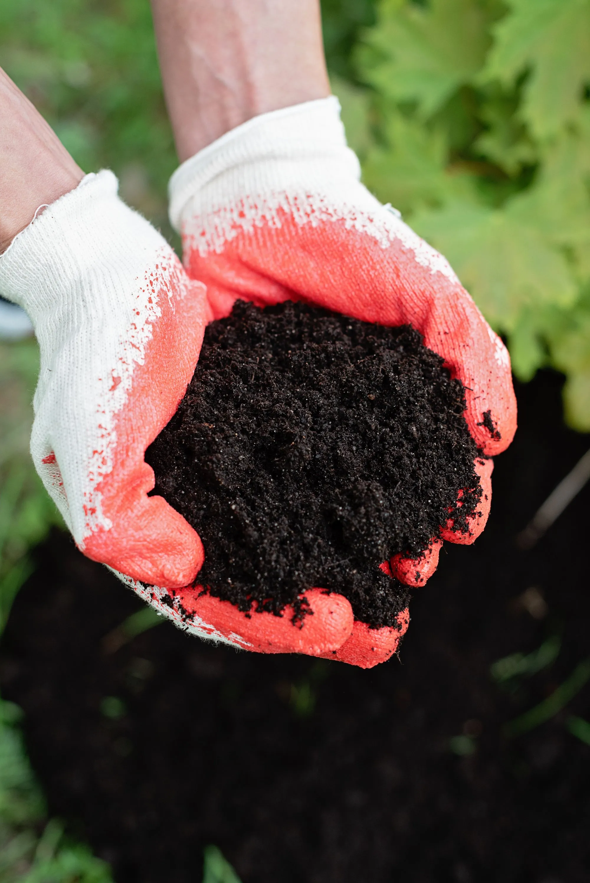Food Composting