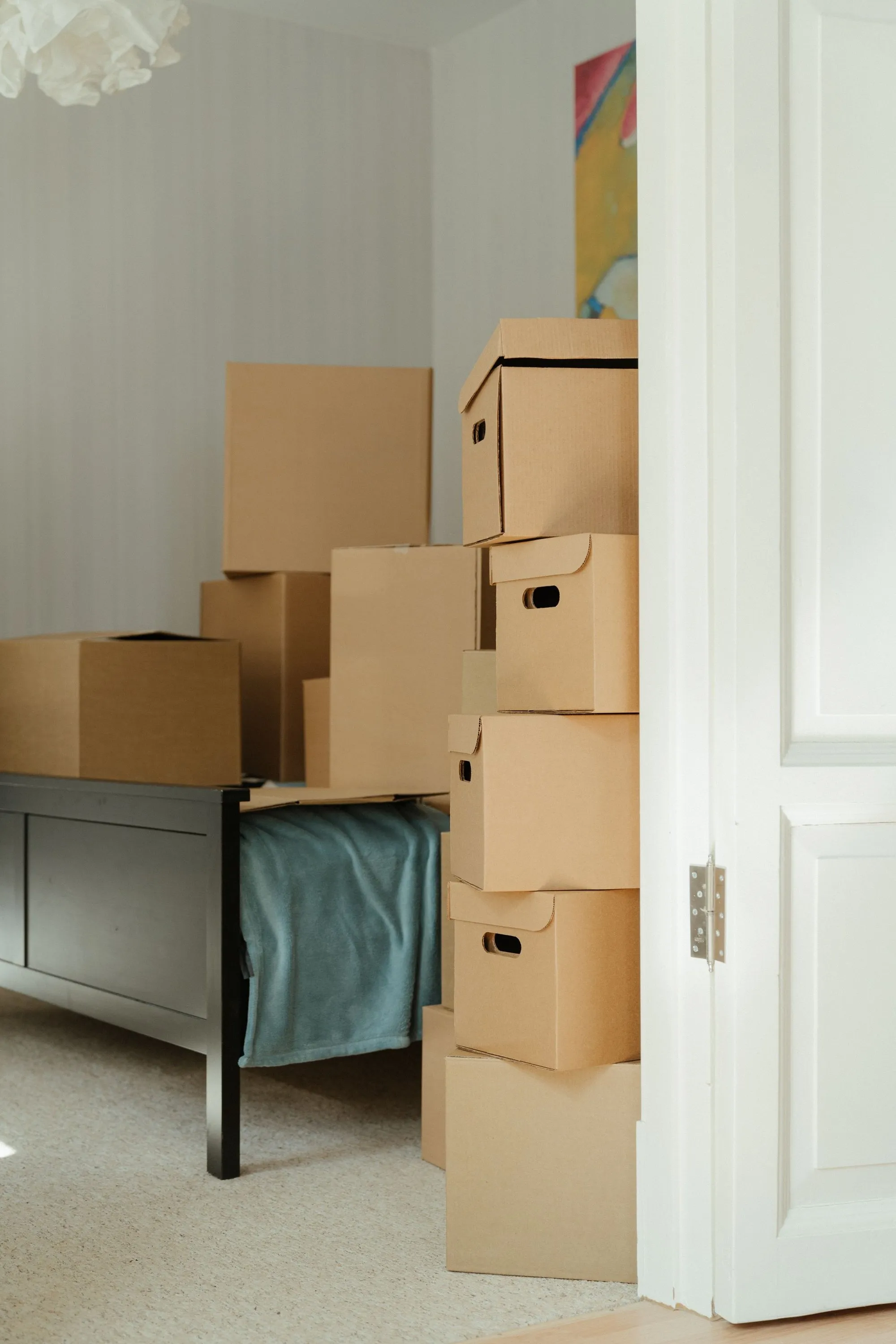 Junk Removal