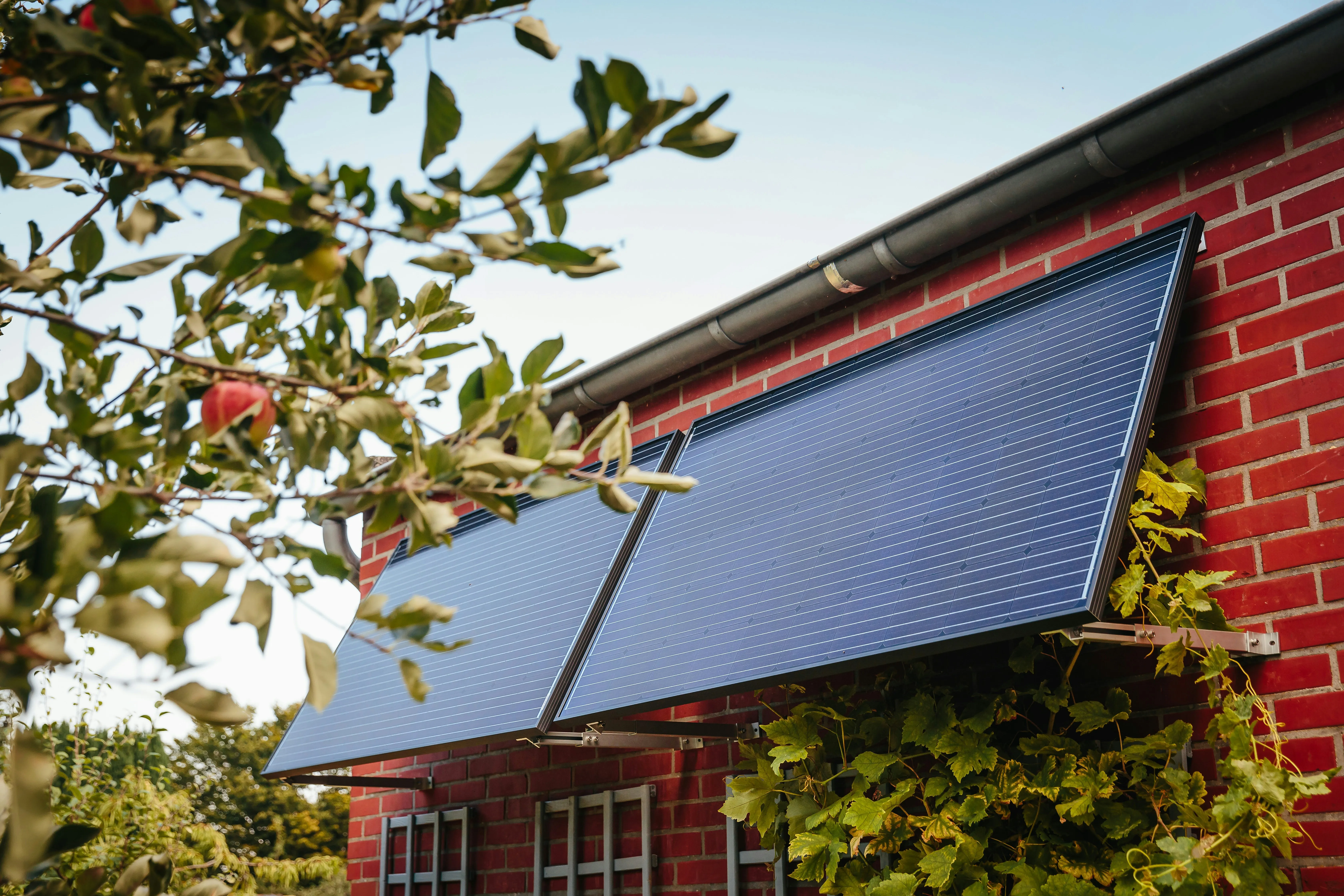 Solar Panel Cleaning