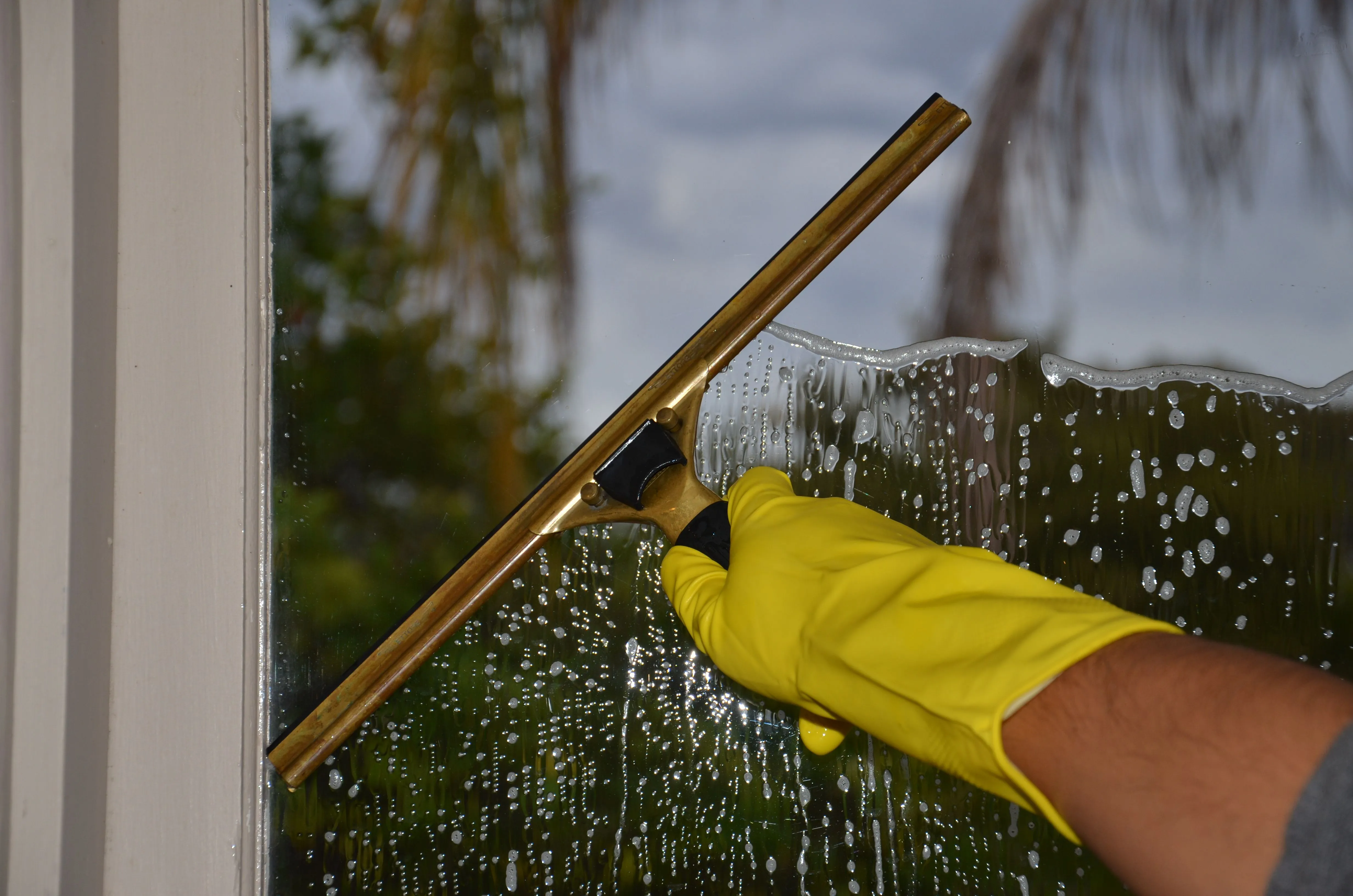 Window Washing